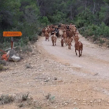 Masia Katmandu Country house