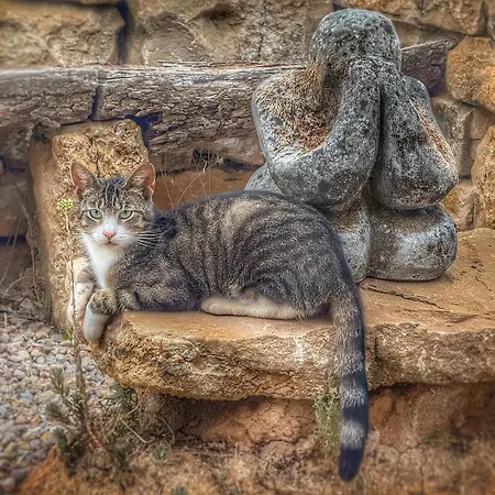 Masia Katmandu