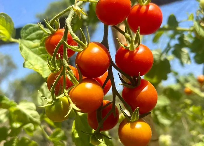 Masia Katmandu Country house *