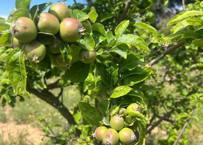 Country house Masia Katmandu *